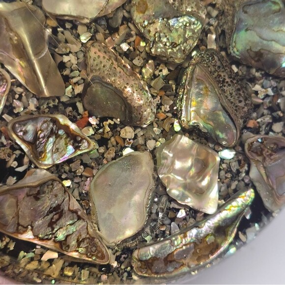 Vintage Abalone Shell Trivet Hot Plate Betty's Shells California Lucite MCM - Picture 2 of 8